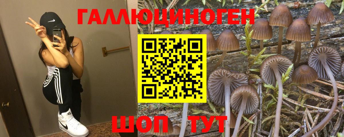 Галлюциногенные грибы прущие грибы  Вход с VPN  Салават 